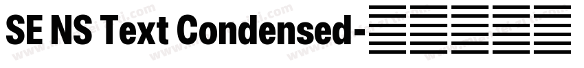 SE NS Text Condensed字体转换